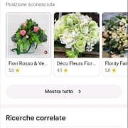 Google testa le informazioni locali nella ricerca-multipla nella serp dei fiori stabilizzati